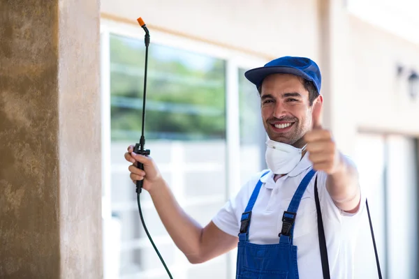 Santee Wasp Removal
