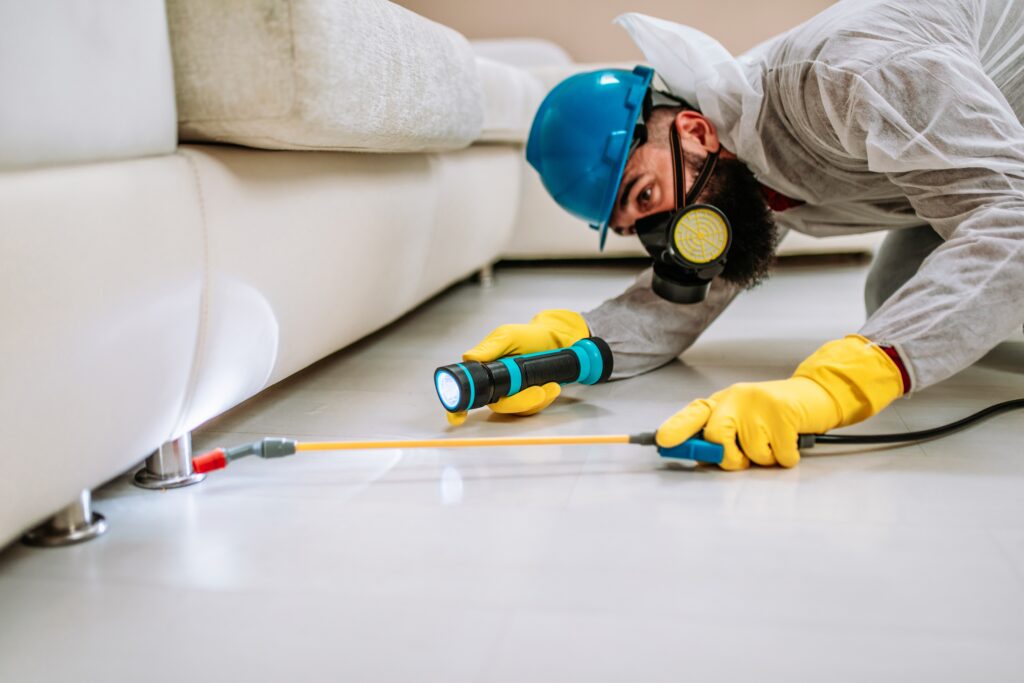 Santee Termite Control