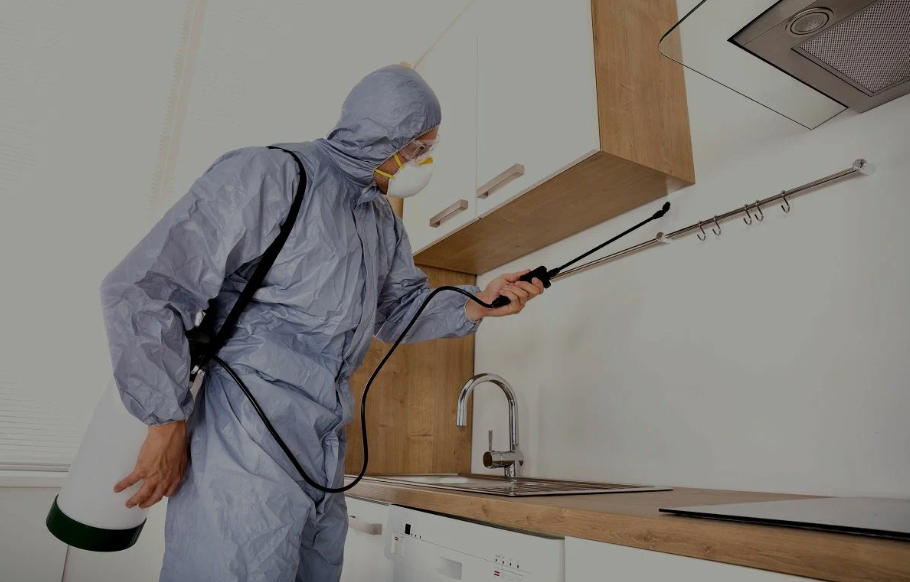 Santee pest managment
